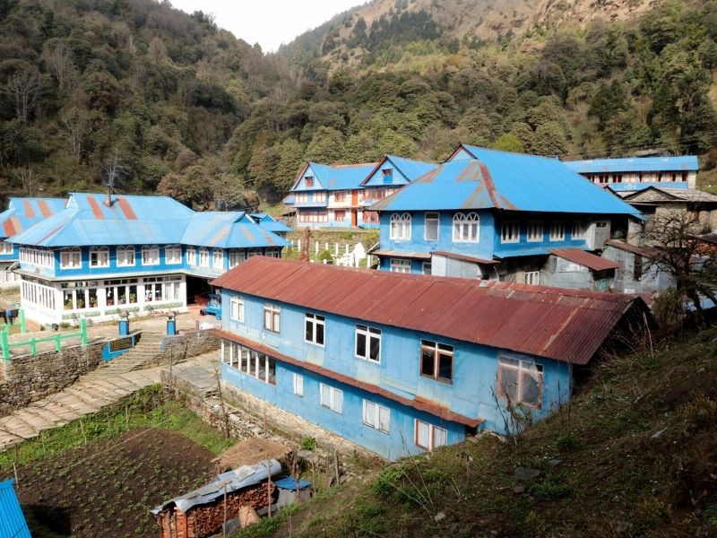 Ghorepani Ghandruk Trek