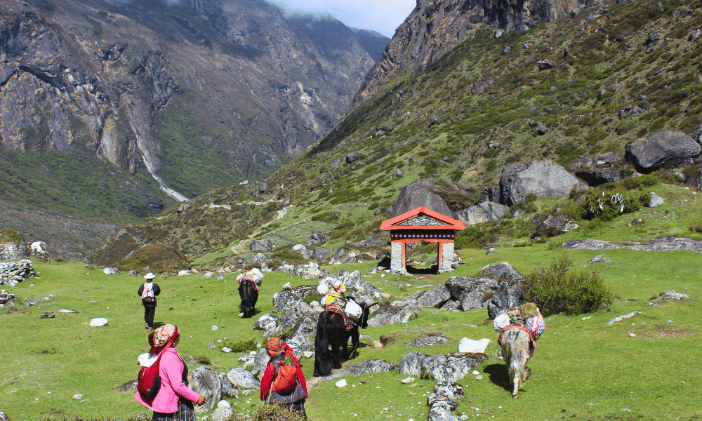 Tsho Rolpa Lake Trek