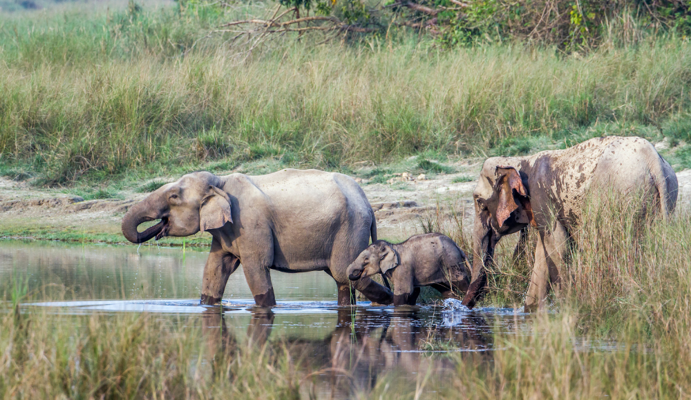 Nepal Luxury Tour Package